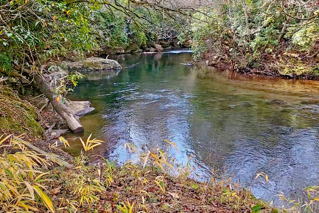 Creekside Hideout