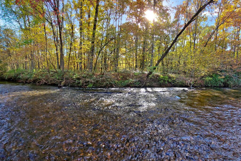 Creekside Hideout