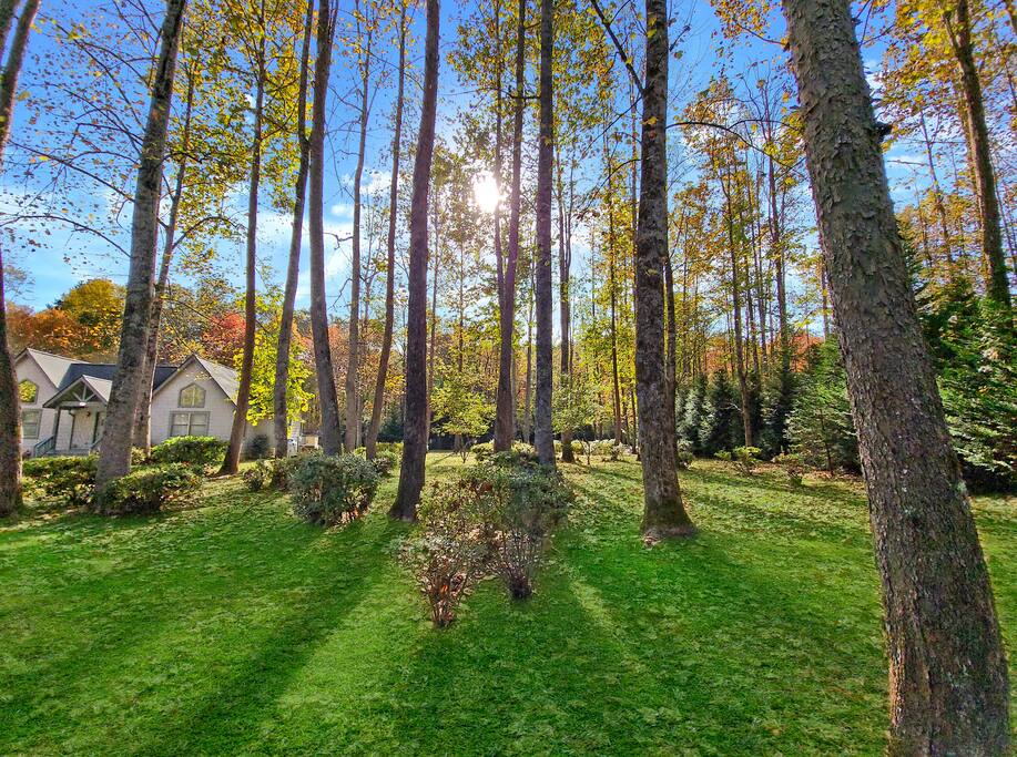 Creekside Hideout