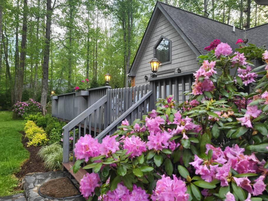Creekside Hideout