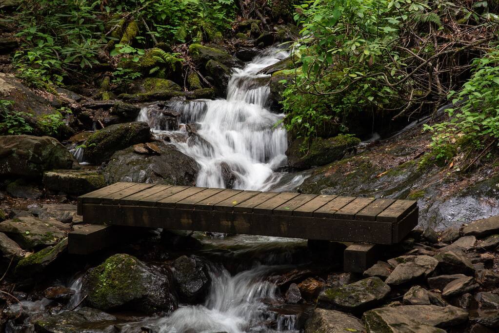 Creekside Waterview